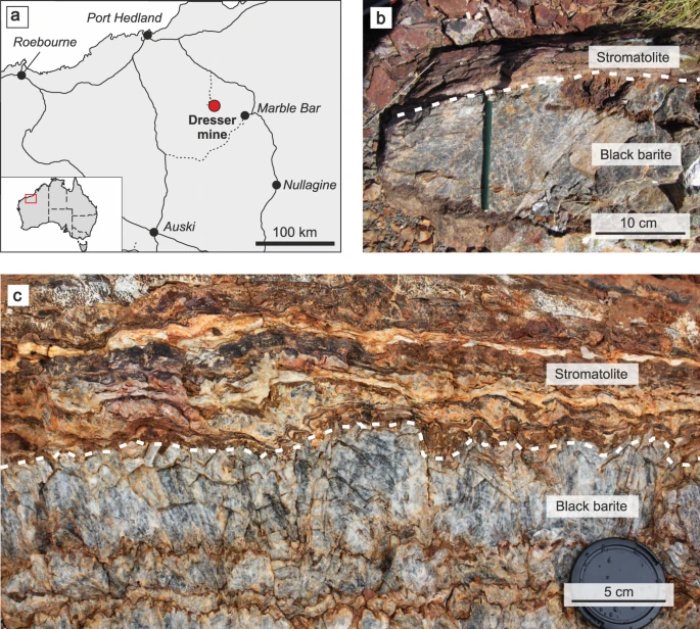 010 dresser organic 2