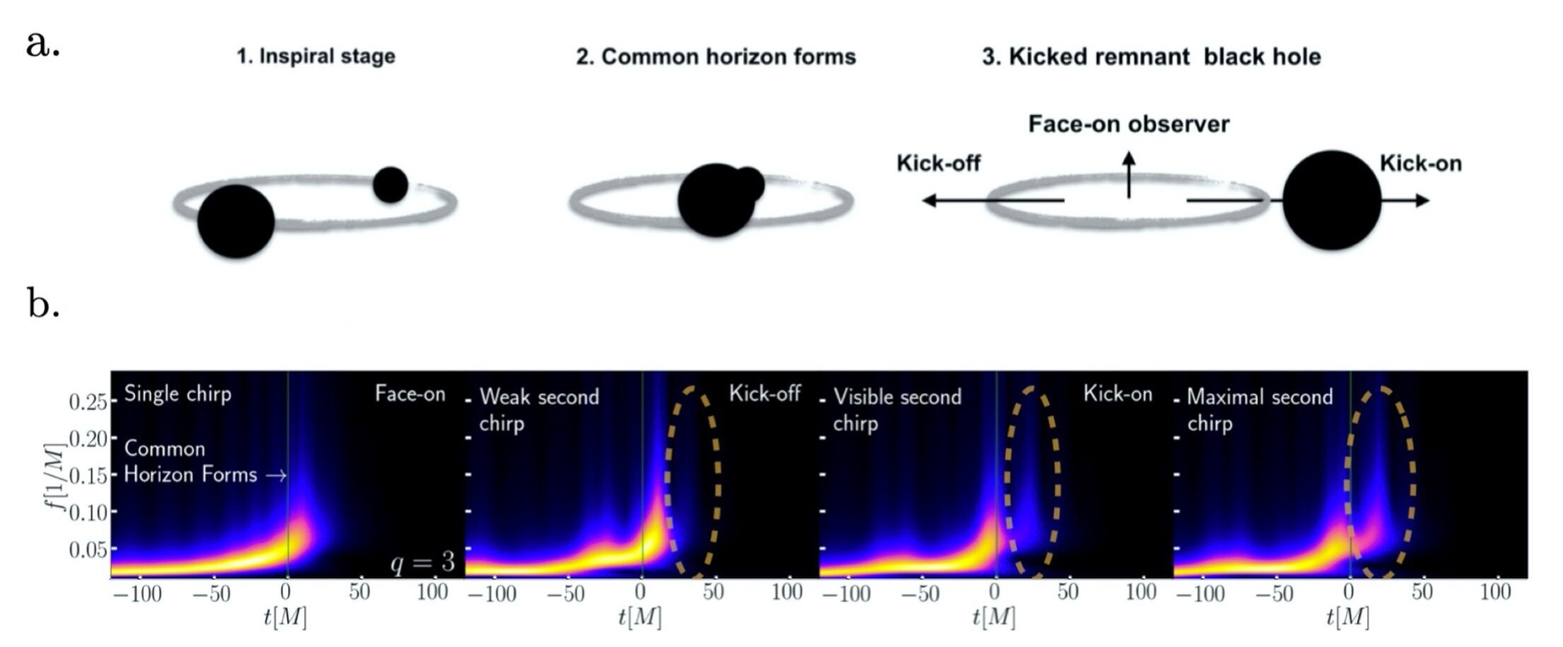 Los agujeros negros resultantes de colisiones con otros generan más de una onda gravitacional.