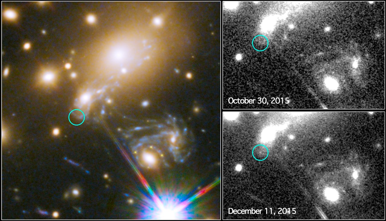 Apariciones de la supernova Refsdal capturadas por el telescopio espacial Hubble de la NASA. (Divulgación: NASA, ESA y P. Kelly (Universidad de California, Berkeley)).