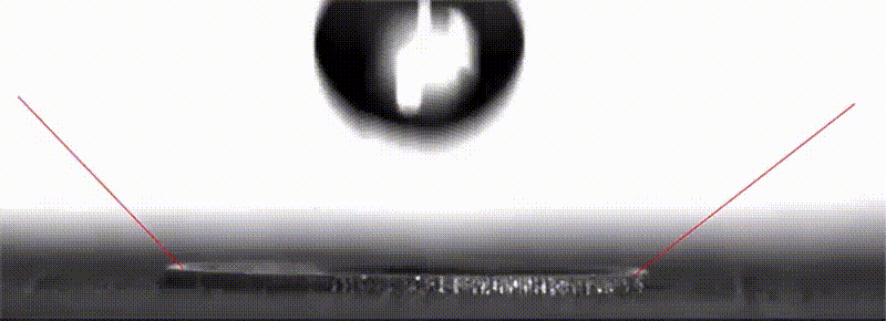 30232859095088