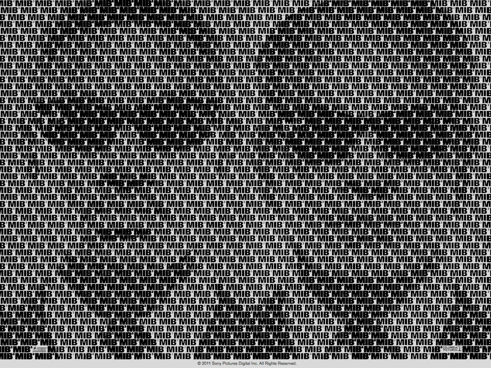 5485034311616438
