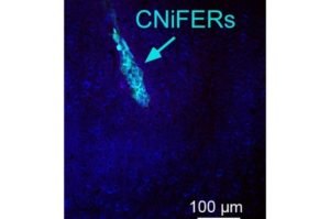BCFFCE59-CB78-4295-86BF1AA6FA28BCF5