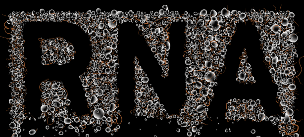 RNA-BIOLOGY-WALLPAPER RNA BIOLOGY WALLPAPER