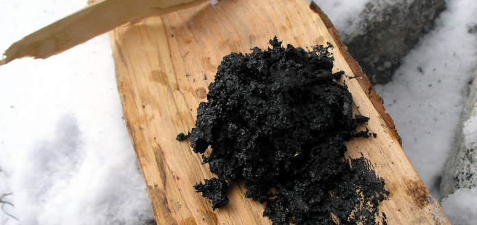 Uma panela de alcatrão de bétula Uma panela de alcatrao de betula