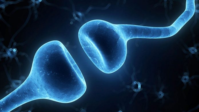 cc_synapse2_16x9 cc synapse2 16x9