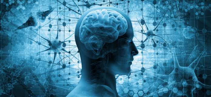 corpo-e-cerebro-fantasma-na-maquina corpo e cerebro fantasma na maquina