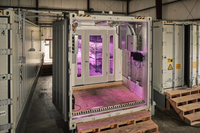 inteligencia-artificial-para-plantas-da-nutricao-a-farmacologia inteligencia artificial para plantas da nutricao a farmacologia