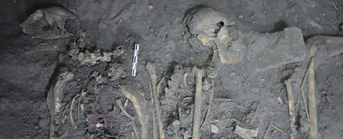 macaco-aranha-sacrificio-maias macaco aranha sacrificio maias