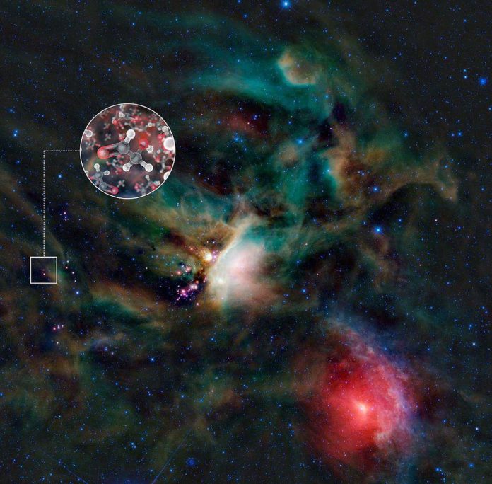 moléculas de vida moleculas de vida