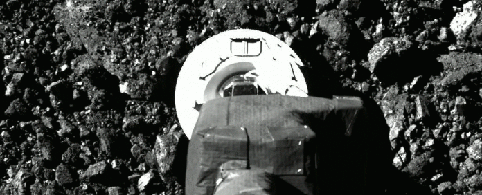 o-rex_1024 o rex 1024