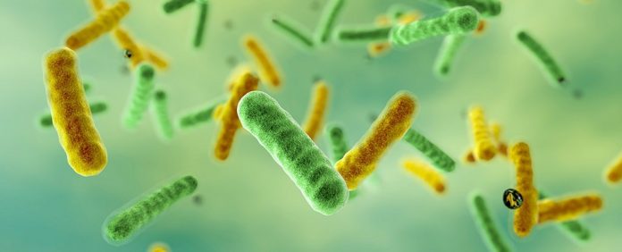quantum_fmo_bacterium_1024 quantum fmo bacterium 1024