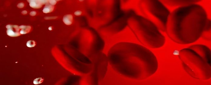 sangue-microplastico sangue microplastico