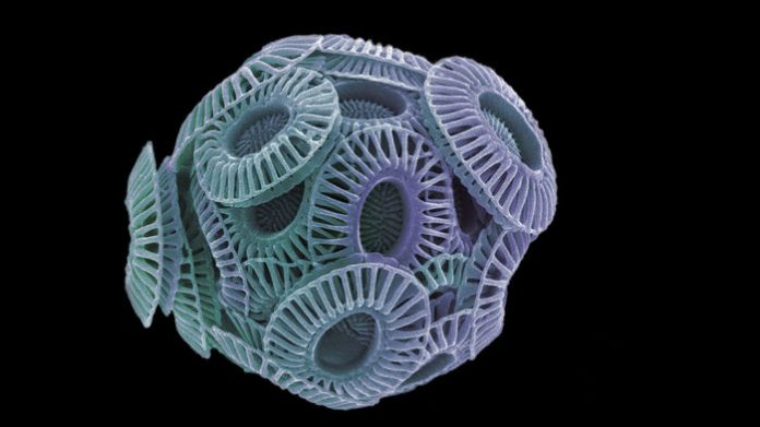 sea spray main_16x9 sea spray main 16x9