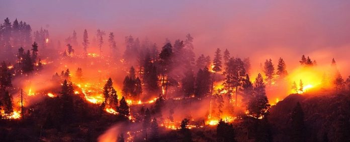 tempestade-de-fogo tempestade de fogo